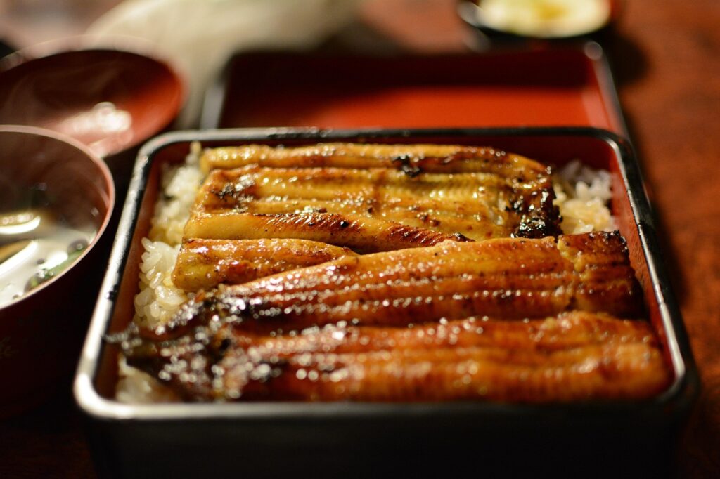 unadon, eel, japanese food, eel, eel, eel, eel, eel, japanese food, japanese food, japanese food, japanese food